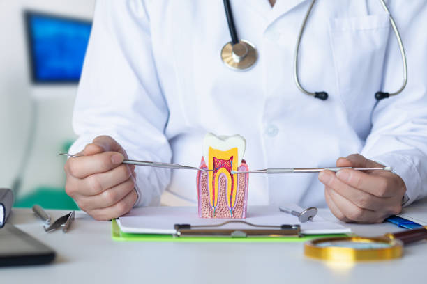 Best Emergency Tooth Extraction in Bennett, CO